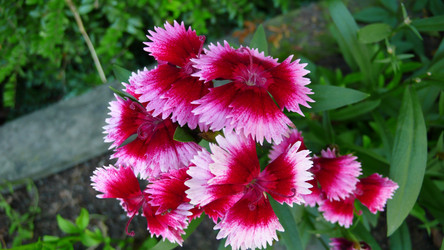 Similar image 242373