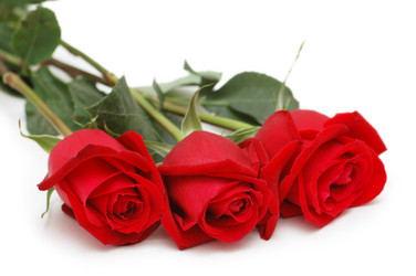 Similar image 242382