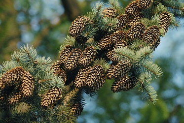 Similar image 242393