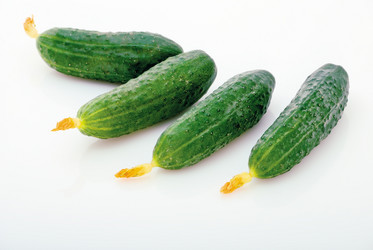 Similar image 242396