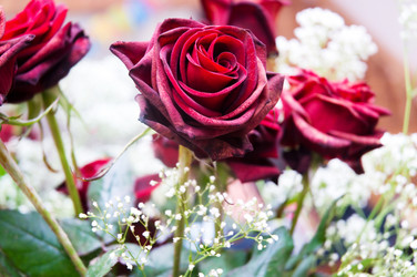 Similar image 242446