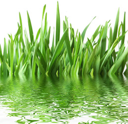 Similar image 242489