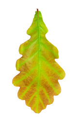 Similar image 242505