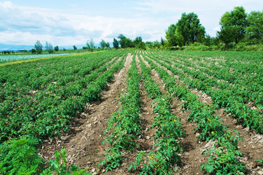 Similar image 242617