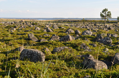 Similar image 242625