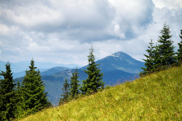 Similar image 242637