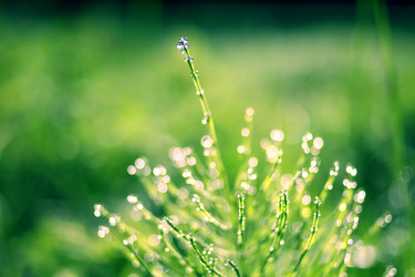 Similar image 242646