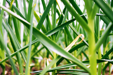 Similar image 242656