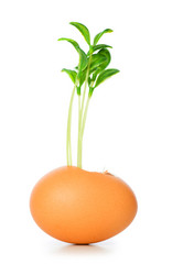 Similar image 242670