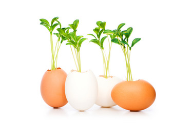 Similar image 242671