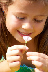 Similar image 242678