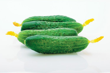 Similar image 242701