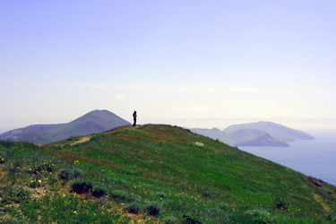 Similar image 242718