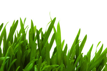 Similar image 242740