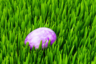 Similar image 242749