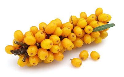 Similar image 242802