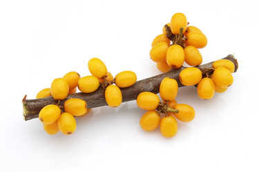 Similar image 242803