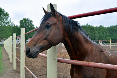 Similar image 242831