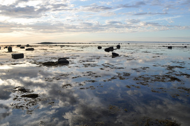 Similar image 242863