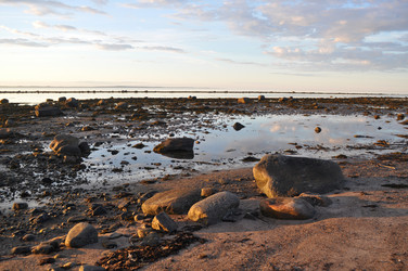 Similar image 242864