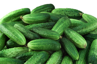 Similar image 242871