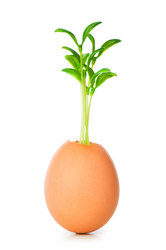 Similar image 242876