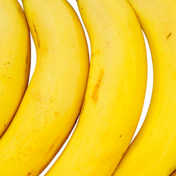 Similar image 242879