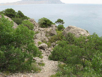 Similar image 242890