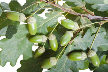 Similar image 242897