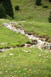 Similar image 242909