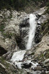 Similar image 242910