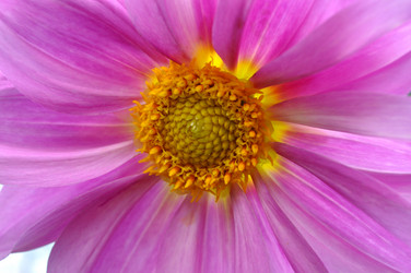 Similar image 242912