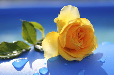 Similar image 242916