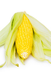 Similar image 242929