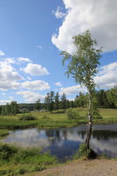 Similar image 242949