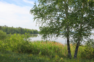 Similar image 242973