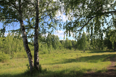 Similar image 242974