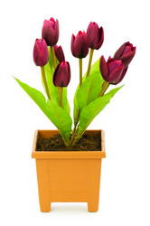 Similar image 242993