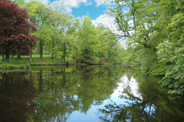 Similar image 243012