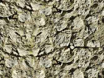 Similar image 243056