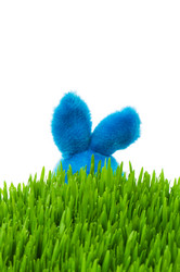 Similar image 243139