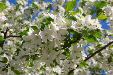 Similar image 243144