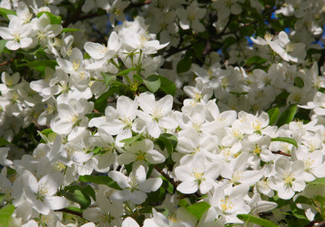 Similar image 243145