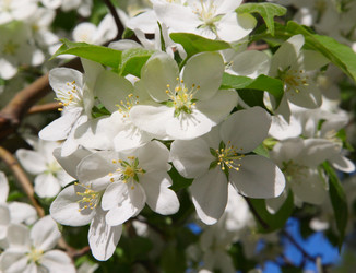 Similar image 243146