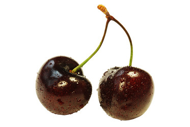 Similar image 243164