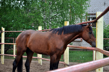 Similar image 243244