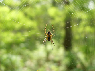 Similar image 243256