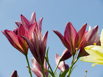 Similar image 243283