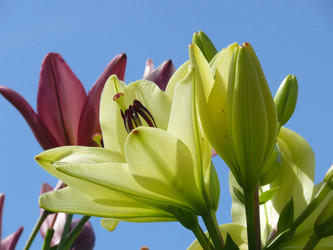 Similar image 243284