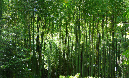 Similar image 243286